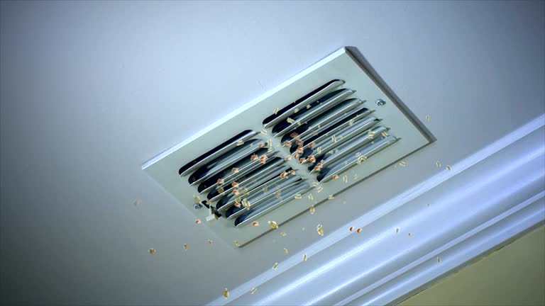 Best Emergency Air Duct Cleaning  in Smith Center, KS